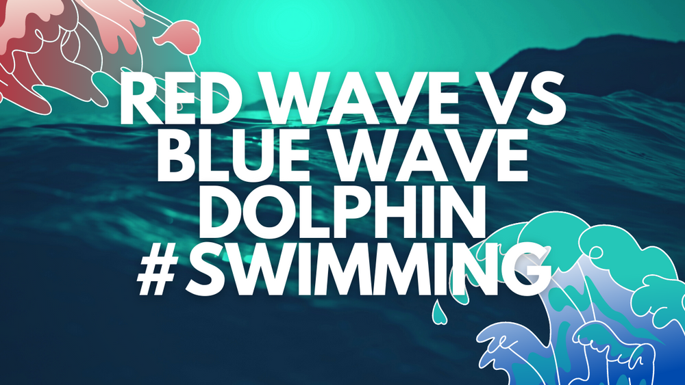 45 - Red Wave Vs Blue Wave Dolphin #Swimming