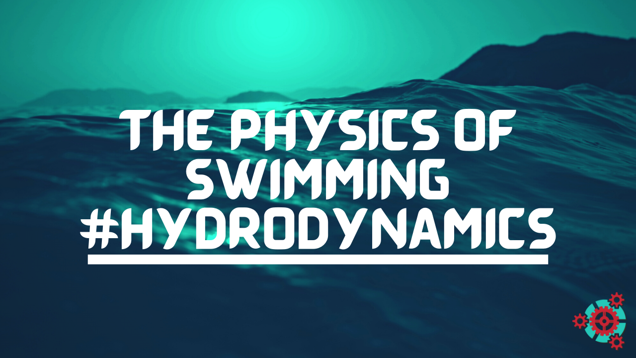 9 - The Physics of Swimming #Hydrodynamics