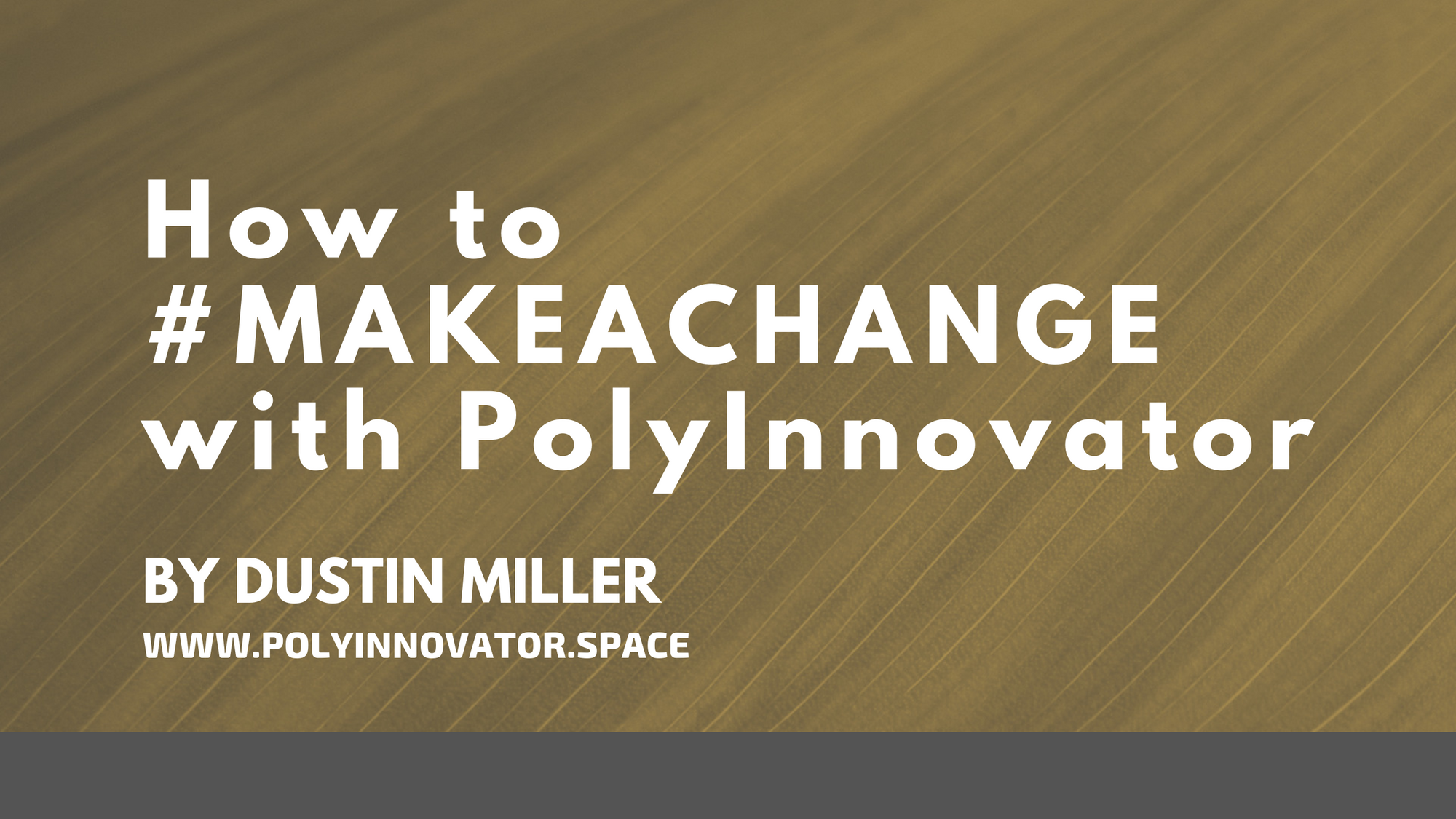 How to #MAKEACHANGE with PolyInnovator