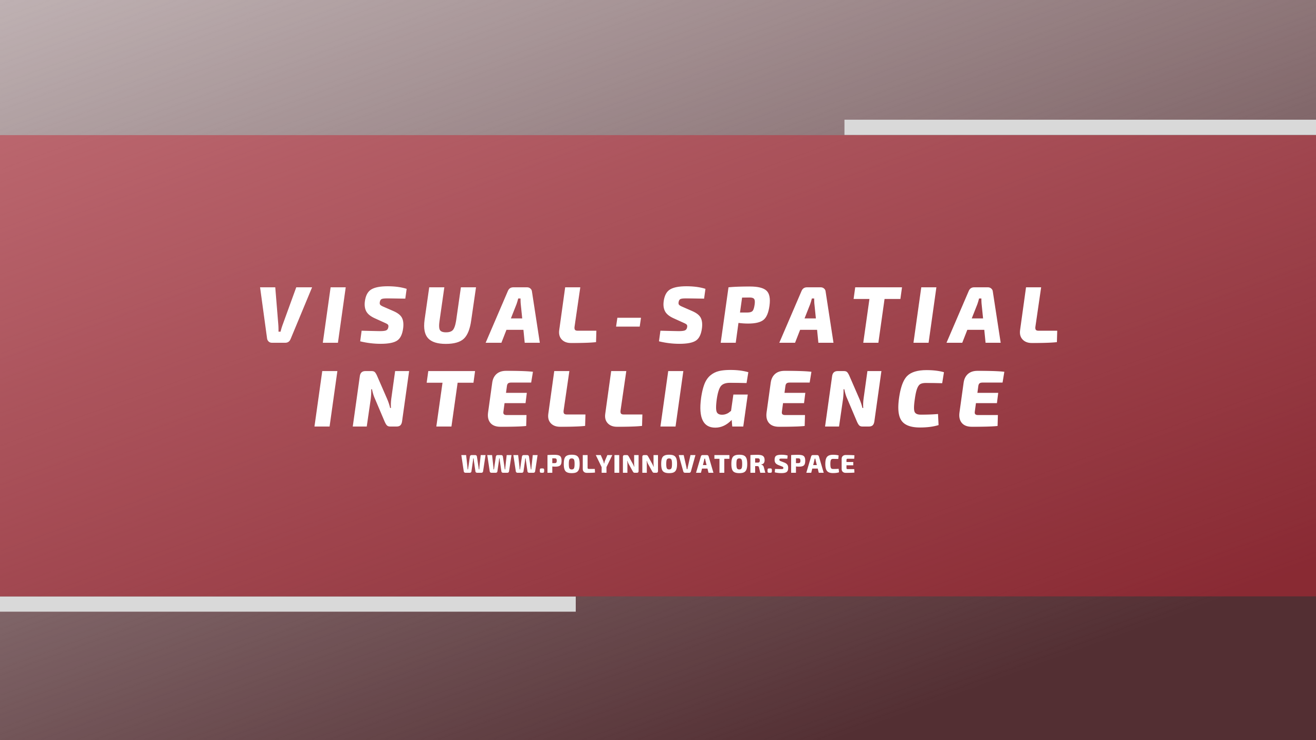 Visual-Spatial Intelligence