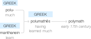 Polymath vs Philomath
