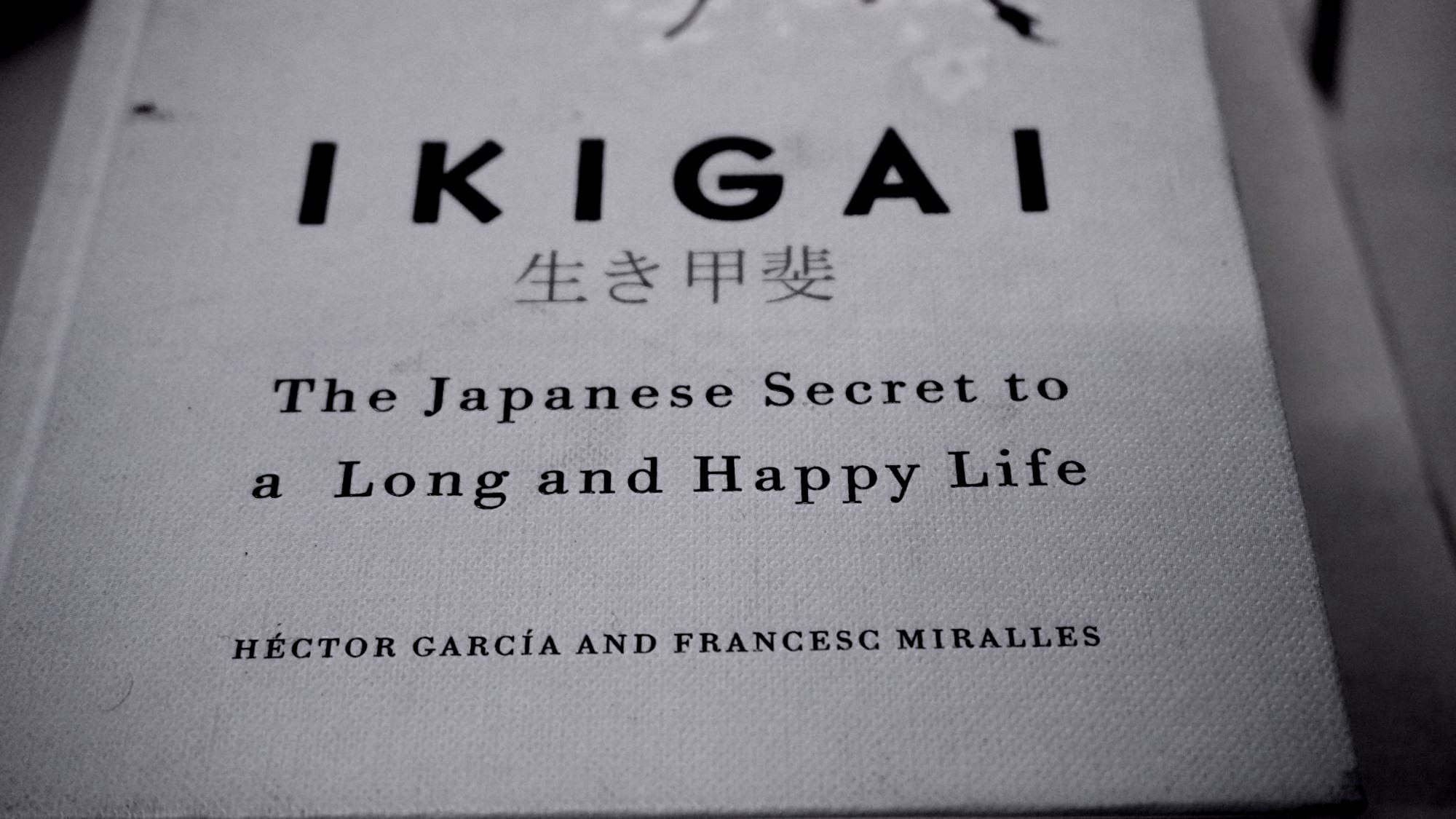 Ikigai - Your Macro Alignment