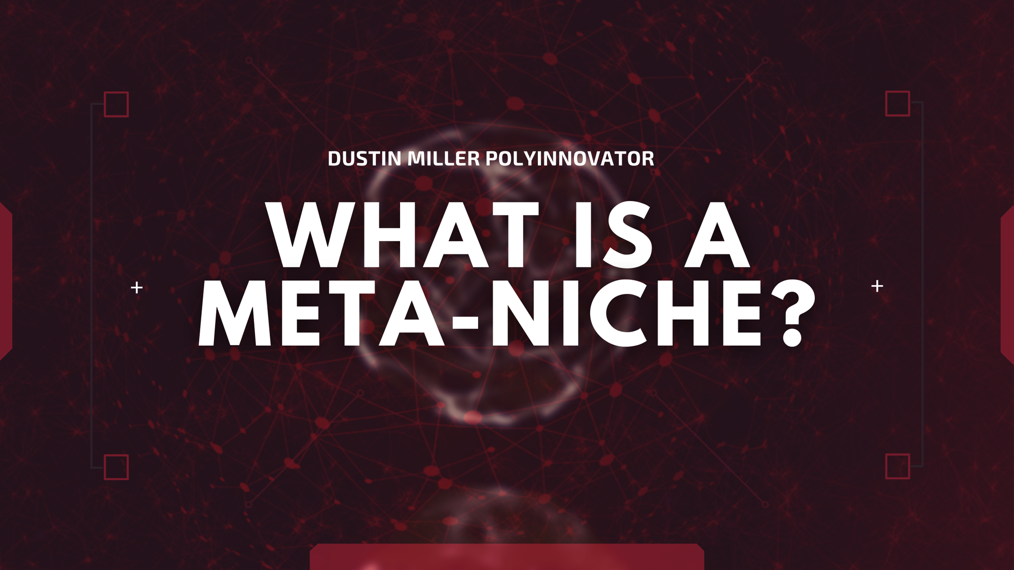 What is a Meta-Niche?