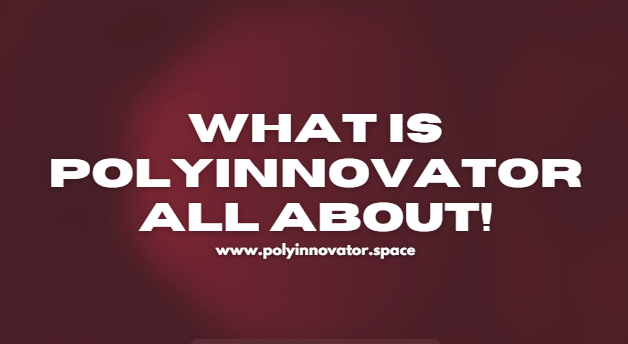 What is PolyInnovator All About