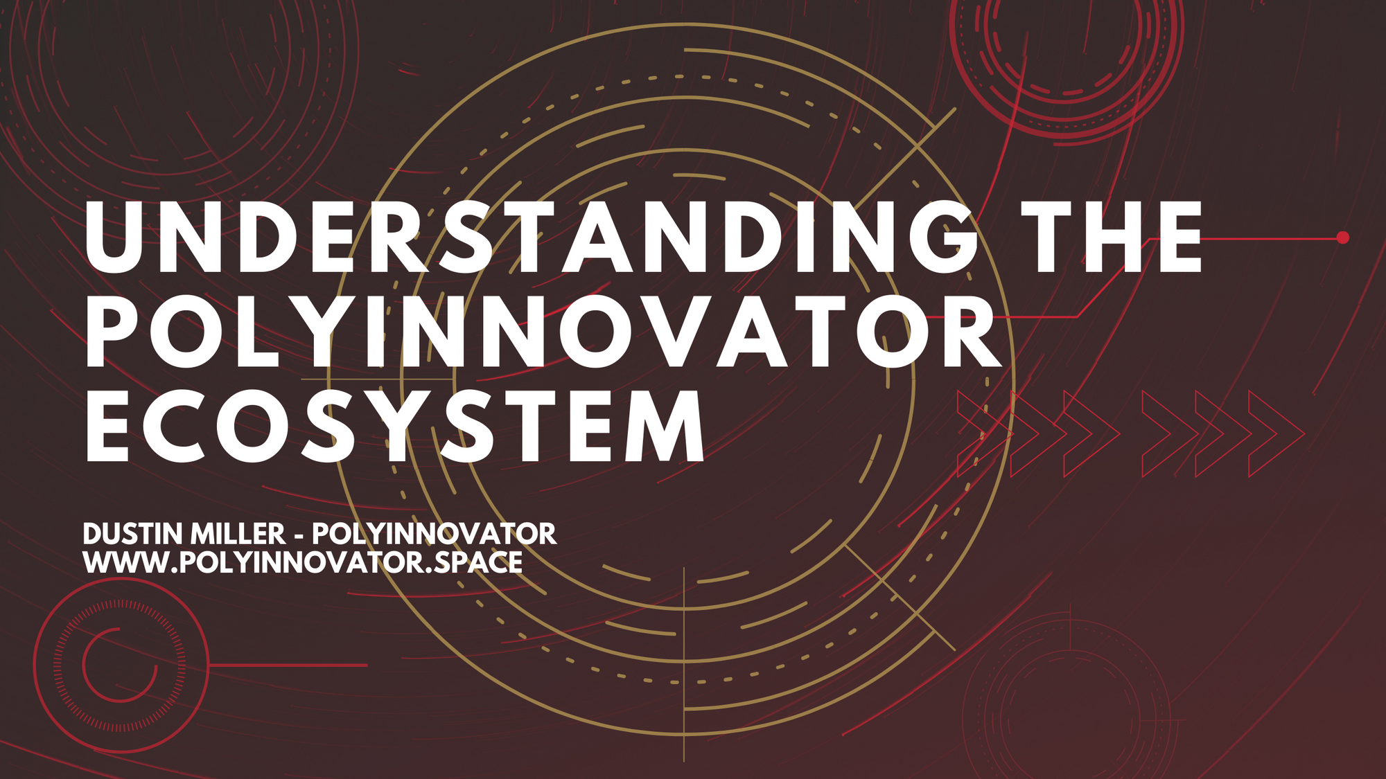 Understanding the PolyInnovator Ecosystem