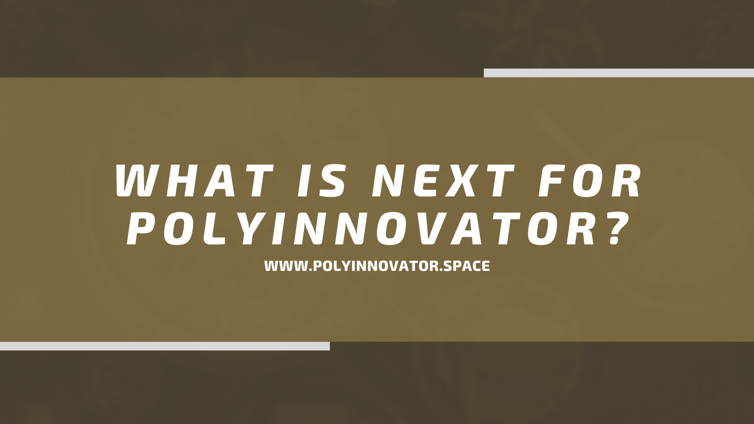 What is NEXT for PolyInnovator?
