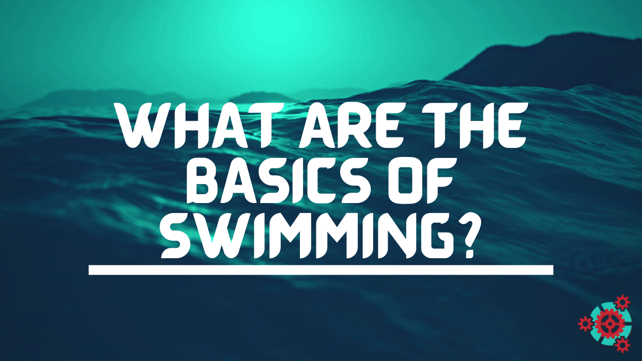 3 - What are the Basics of Swimming?
