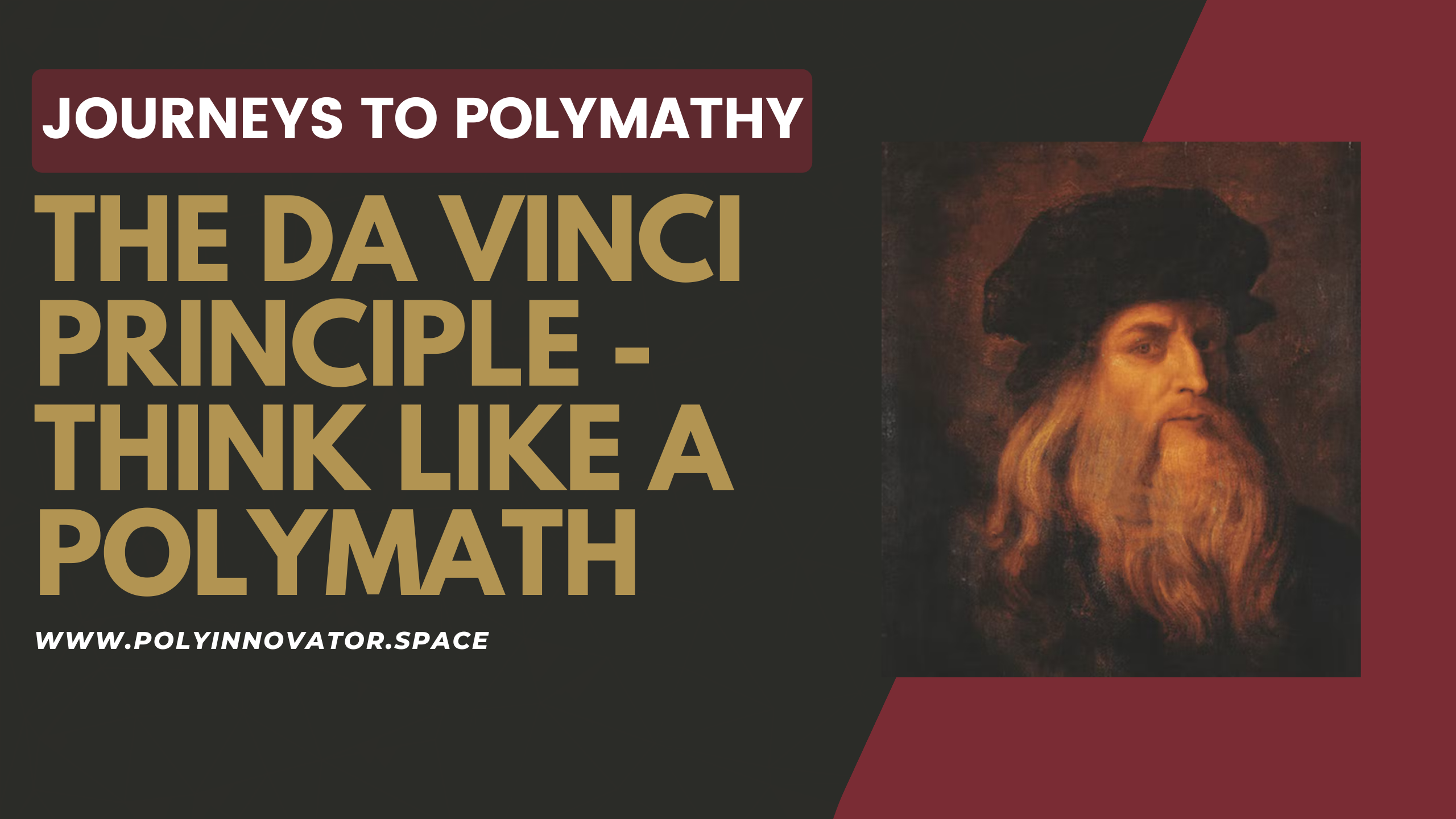 The Da Vinci Principle - Think like a Polymath