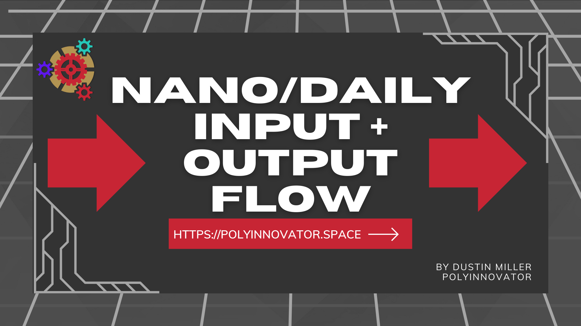 Nano/Daily - Input + Output Flow