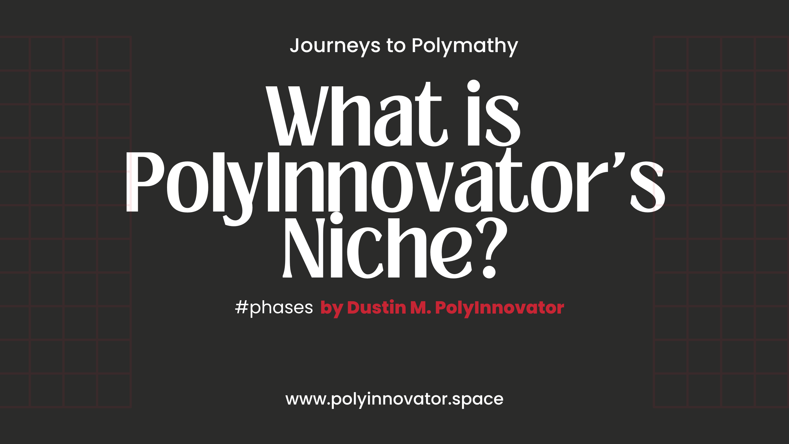 What is PolyInnovator's Niche?