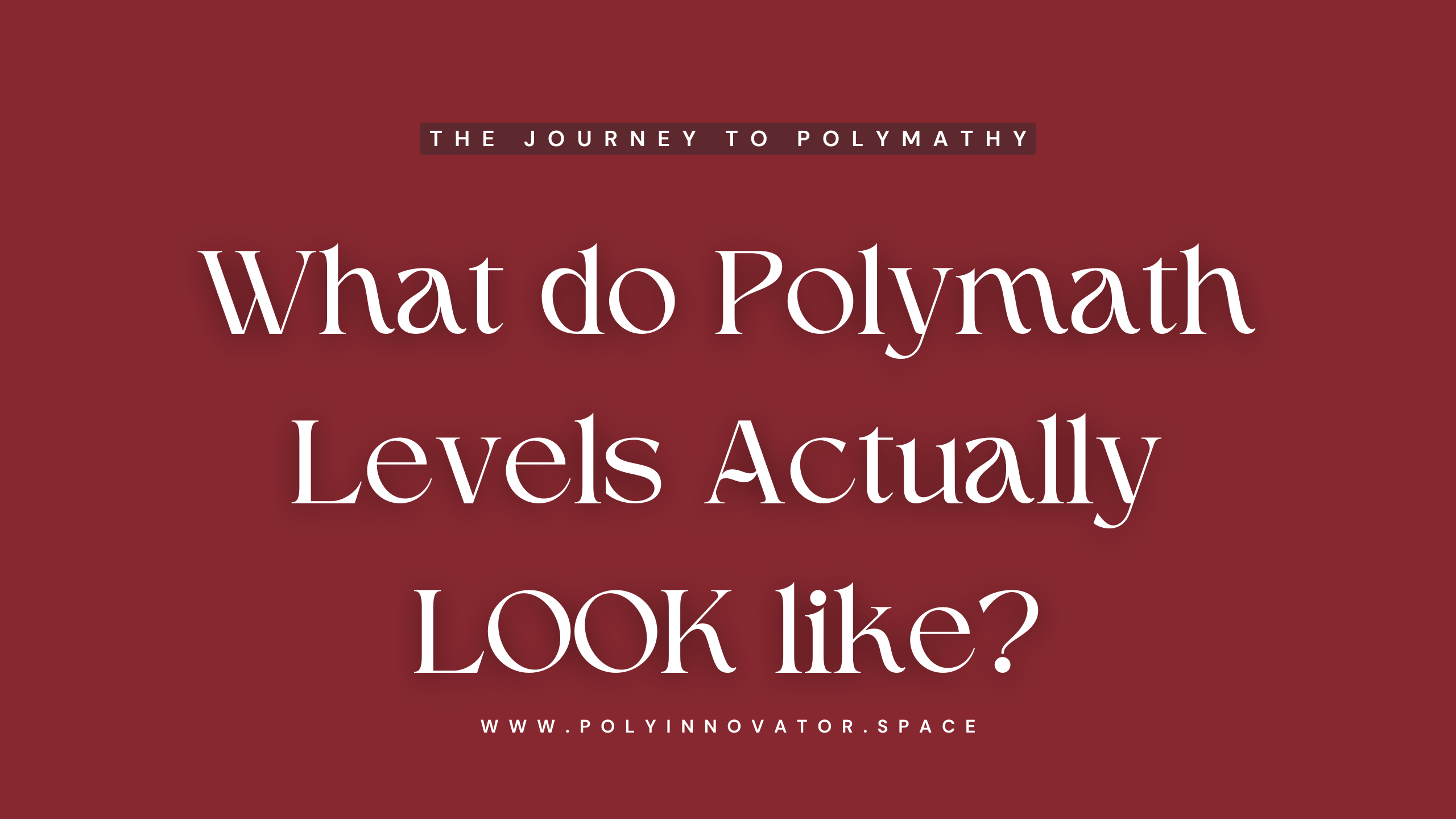 What do Polymath Levels Actually LOOK like?