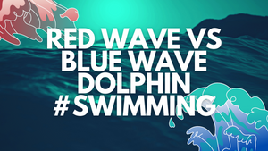 Red Wave Vs Blue Wave Dolphin #Swimming
